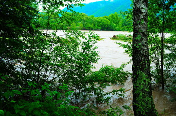 Dirty river current after rain. Mudslide concept. River flow with dirty water after heawy rain.