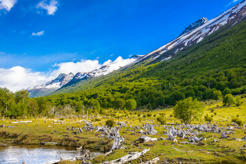 It's Landscape of the Tierra del Fuego National Park, Argentina