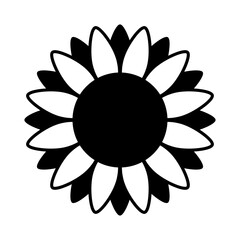 Sunflower illustration in black and white on isolated background