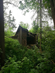 Abandoned wooden shed in the forest