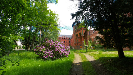 Naklejka premium Old crumbling castle between trees