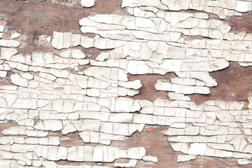 Old vintage wood texture with badly cracked paint