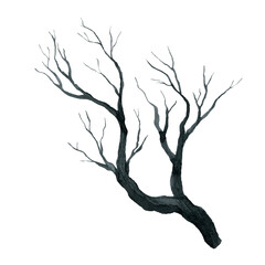 gray black black forest, trees and branches, watercolor hand drawing illustration