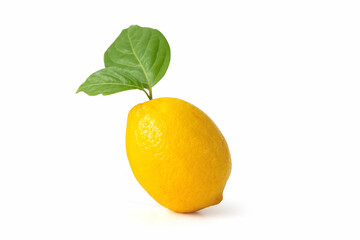 Lemon fruit with leaf isolated on white background. with clipping Path