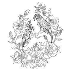 Cockatoo with flower.Hand drawn sketch illustration for adult coloring book.