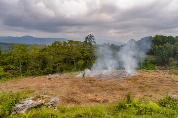 Nature of the state Chiapas, Mexico