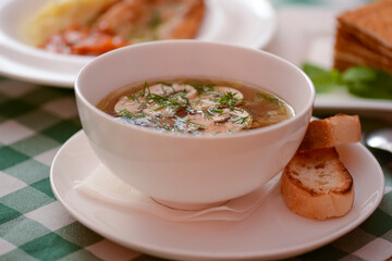 Chicken soup with vegetables and meat served in a white bowl over rustic wooden background with green plaid tablecloth.