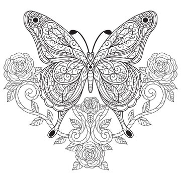 Butterfly with rose. Hand drawn sketch illustration for adult coloring book.