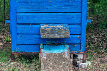 Blue beehive in the forest on summer.