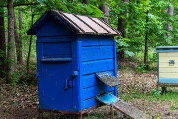 Fototapeta na wymiar Blue beehive in the forest on summer.