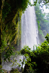 Obraz premium Cascada de Misol-Ha, a waterfall in the Municipality of Salto de Agua, Chiapas, Mexico
