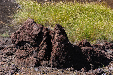 Fototapeta na wymiar It's Solidified lava on the grass