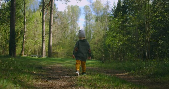 A small boy walks along a forest path and looks at the trees around him. Little Explorer traveler. The concept of overcoming difficulties and moving forward.