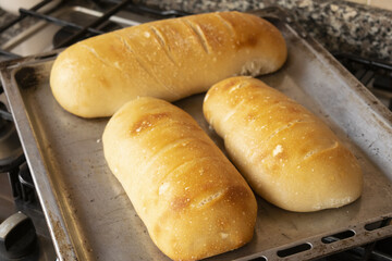 homemade loaf of bread