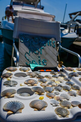 Fototapeta premium Kids selling sea shells near the ocean