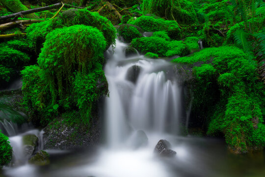 Long exposure of a serene waterfall in a green mossy rainforest 