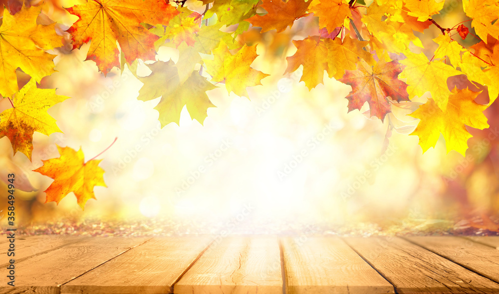 Poster Beautiful autumn nature background with border of orange, gold and red maple leaves on background of sunlight with soft blurred bokeh and empty wooden table planks.