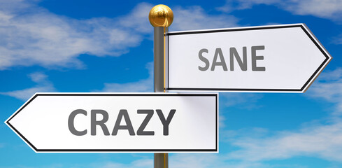 Crazy and sane as different choices in life - pictured as words Crazy, sane on road signs pointing at opposite ways to show that these are alternative options., 3d illustration