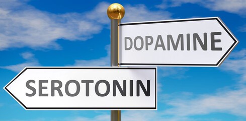 Serotonin and dopamine as different choices in life - pictured as words Serotonin, dopamine on road signs pointing at opposite ways to show that these are alternative options., 3d illustration