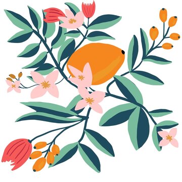 Illustration Of Orange Fruits And Pink And Red Colorful Flowers On A White Background