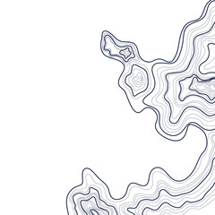 topographic map abstract height lines isolated on white background vector