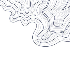 topographic map abstract height lines isolated on white background vector
