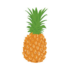 Whole unpeeled uncut pineapple isolated on white background. Vector illustration of fresh pineapple in flat style. Delicious tropical fruits for a healthy lifestyle. Dietary products for weight loss.