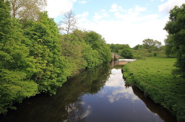 river in the park