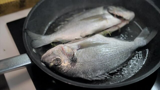 Presentation of fresh sea bream on grill pan ready to cook
