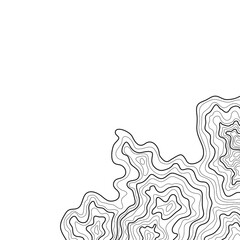 topographic map abstract height lines isolated on white background vector illustration
