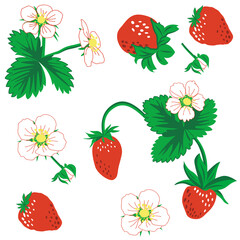 Seamless pattern of berries, leaves and strawberry flowers. vector illustration. Strawberry vector pattern background. Set flower, petal, strawberry.