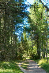 Templar hermitage of San Bartolome and natural park of the Cañon del Rio Lobos in Soria