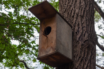 wooden bird house