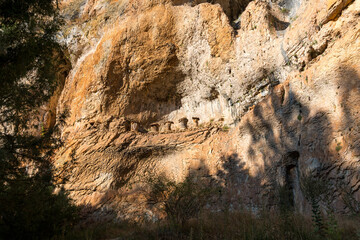 Ancient honeycombs for honey collection