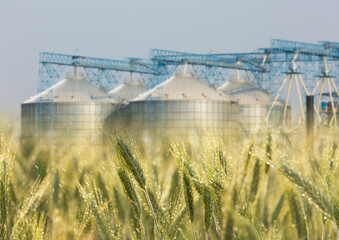 grain barley elevator silo in the countryside © kamonrat