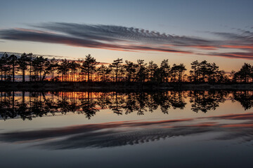 stunningly beautiful view of the evening sky over a forest lake