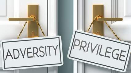 Adversity and privilege as a choice - pictured as words Adversity, privilege on doors to show that Adversity and privilege are opposite options while making decision, 3d illustration - obrazy, fototapety, plakaty