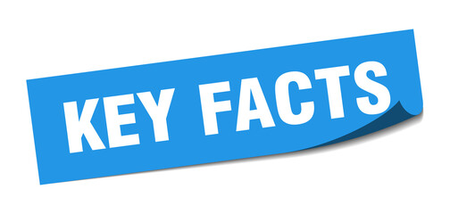 key facts sticker. key facts square isolated sign. key facts label