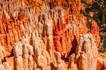 It's Amazing view of the Bryce Canyon National park, Utah, USA