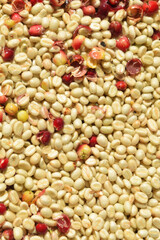 Coffee beans,In the ferment and wash method of wet processing