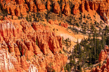 It's Amazing view of the Bryce Canyon National park, Utah, USA