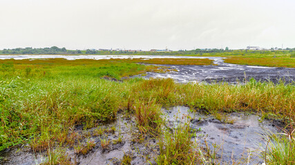 It's View of the Pitch Lake, the largest natural deposit of asphalt in the world, La Brea, Trinidad and Tobago. It is reported to be 75 m deep.