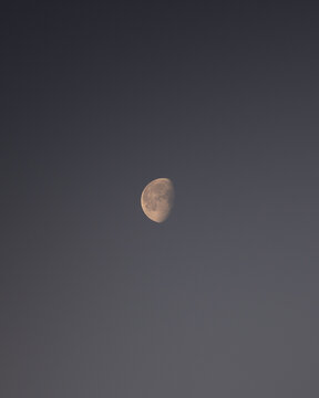 moon in the sky