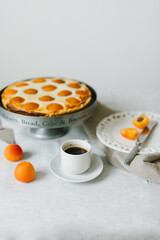 Summer apricot pie homemade delicious fruit dessert. Apricot tart. Fruit pie. French pastries.