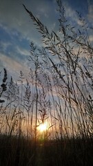 sunset over the lake © Agnieszka