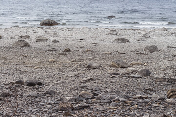 Stony shore of Lake Storsjön
