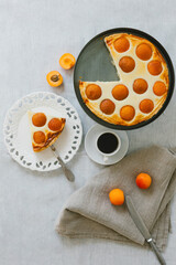 Summer apricot pie homemade delicious fruit dessert. Apricot tart. Fruit pie. French pastries.