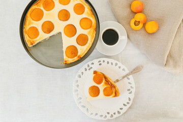 Summer apricot pie homemade delicious fruit dessert. Apricot tart. Fruit pie. French pastries.