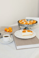 Summer apricot pie homemade delicious fruit dessert. Apricot tart. Fruit pie. French pastries.
