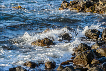 It's Nature of the Easter island